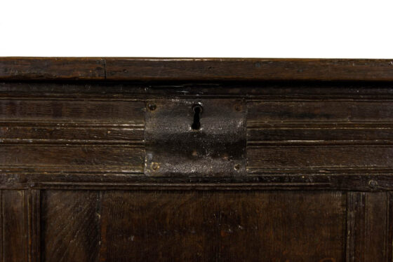 M-3168 Antique 18th Century Oak Coffer Penderyn Antiques (4)