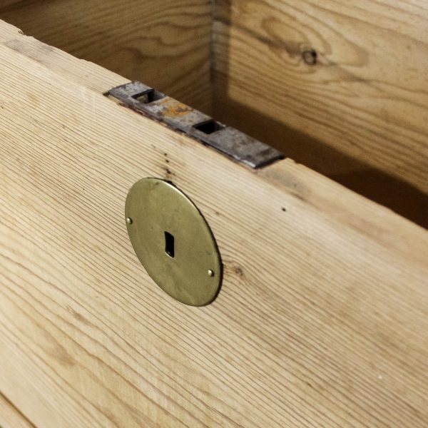 M-6664 Antique Pine Domed Top Trunk (10)